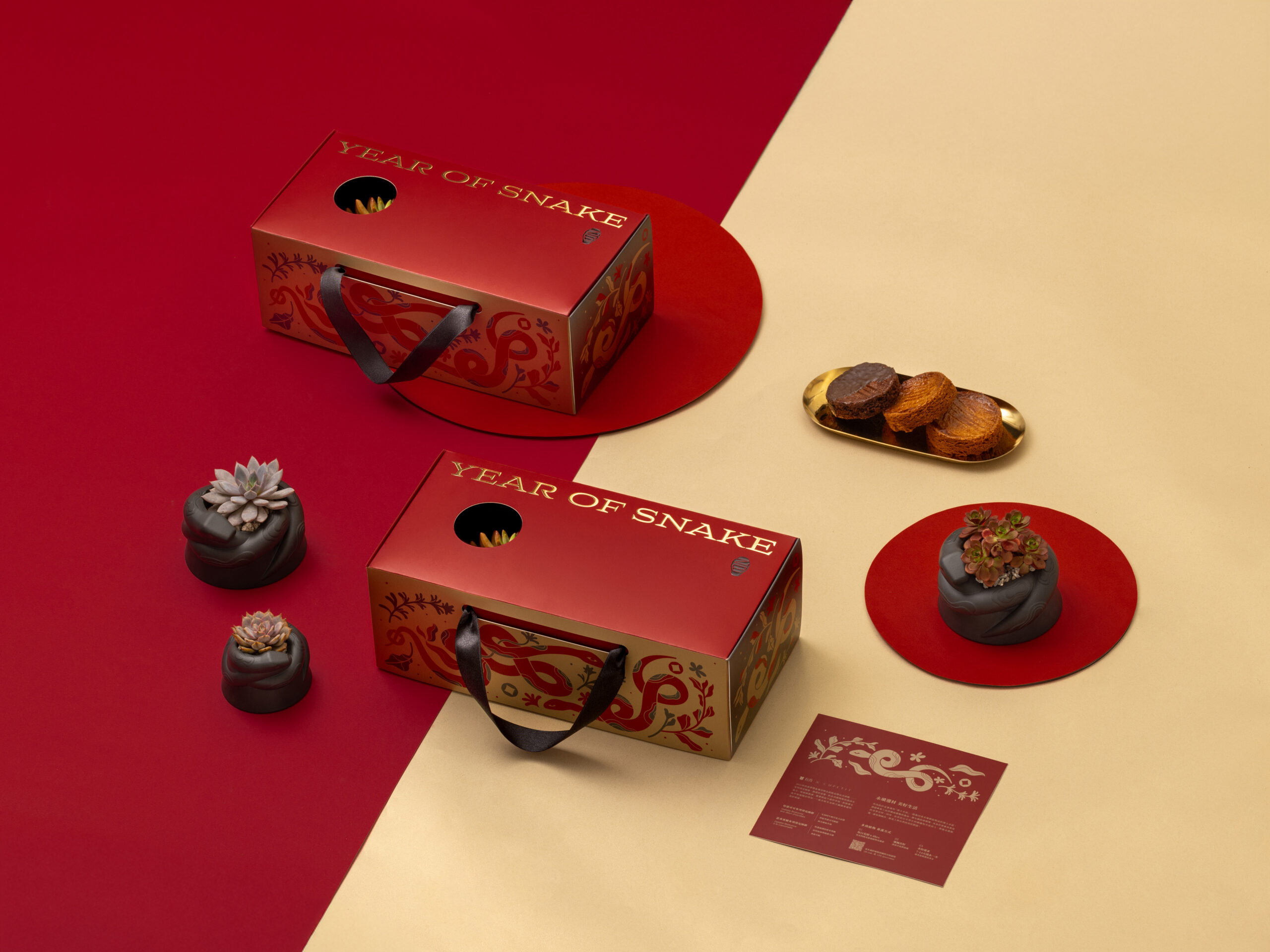 2025 春節禮盒送福蛇!造型植栽滿春意 6 節慶禮盒-新年