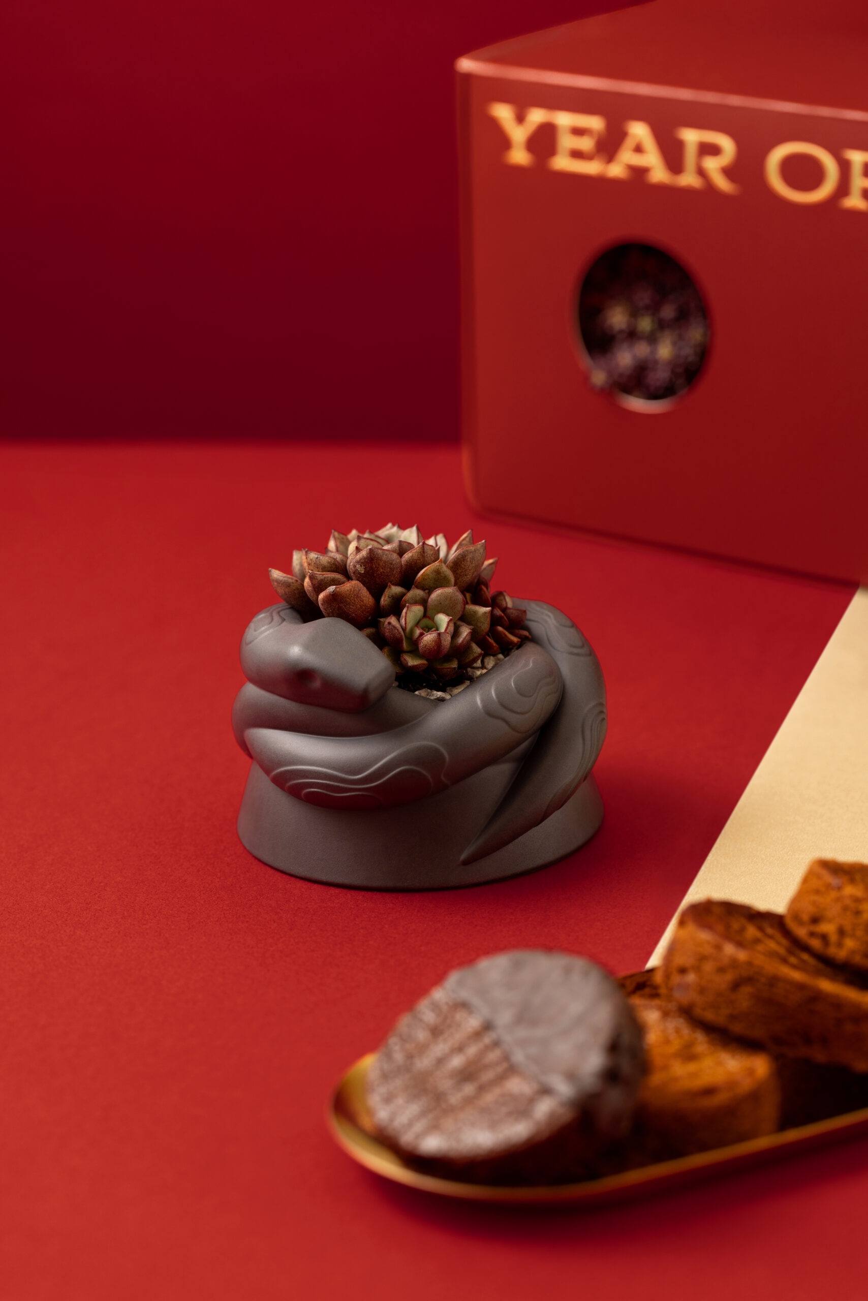 2025 春節禮盒送福蛇!造型植栽滿春意 3 2025 春節禮盒送福蛇!造型植栽滿春意 金蛇年春節禮盒 蛇造型盆栽禮盒_蛇盆特寫_直 scaled