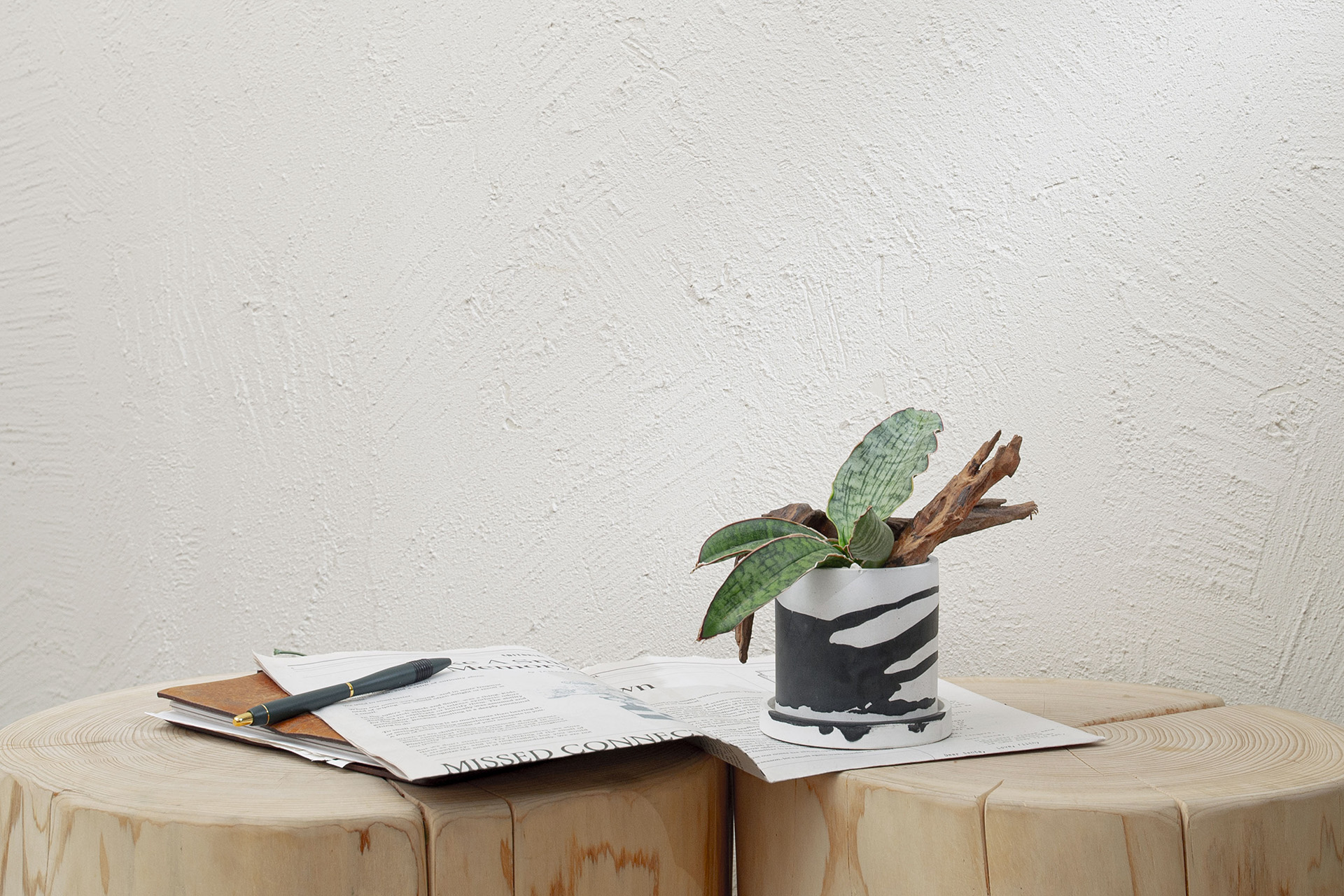 40+ 句換新工作的祝福語(成語 聖經金句 佛家語錄 英文 日文) 7 桌上型盆栽