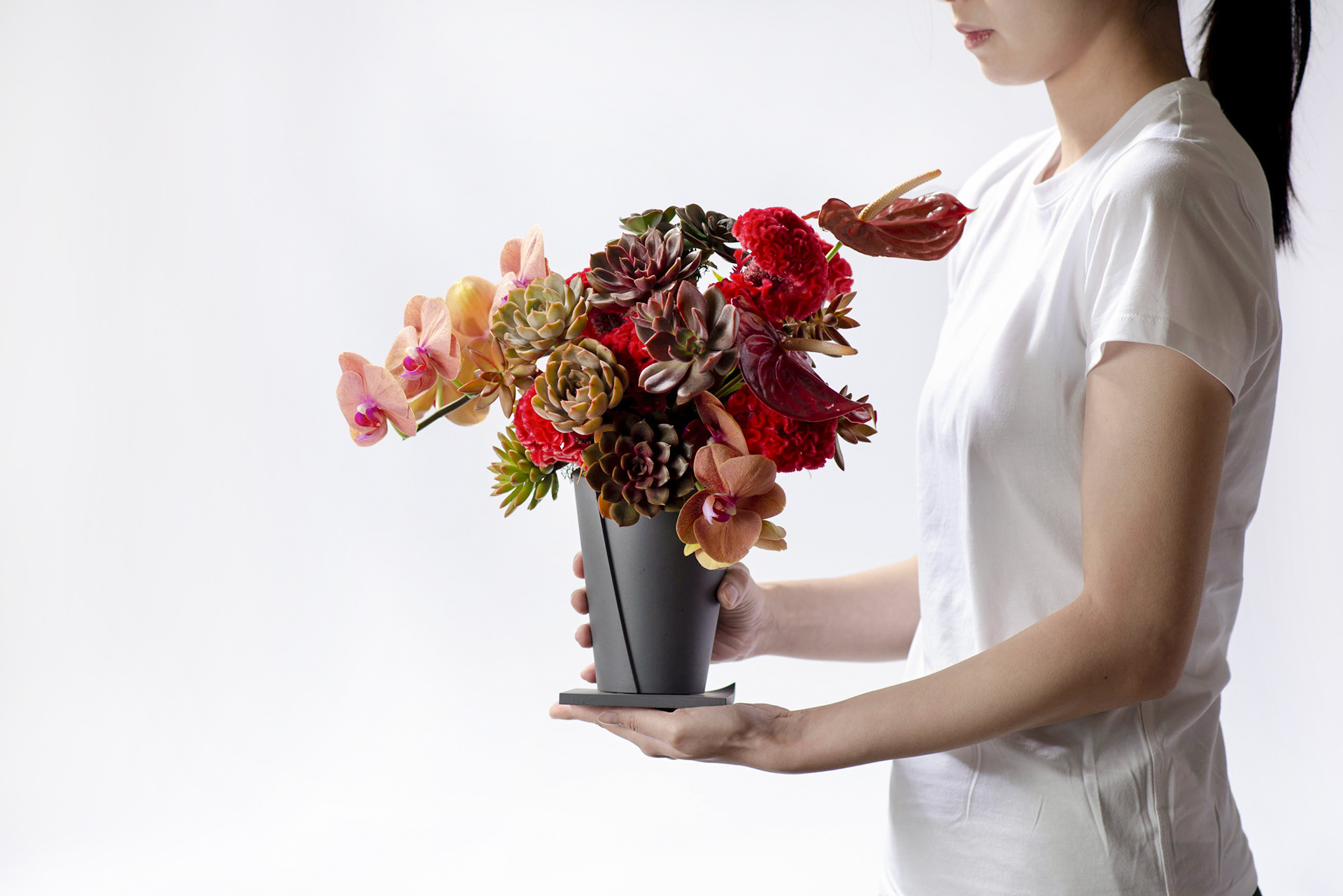 開幕盆栽除了金錢樹以外的好選擇＿全台專車配送_有肉SUCCULAND3