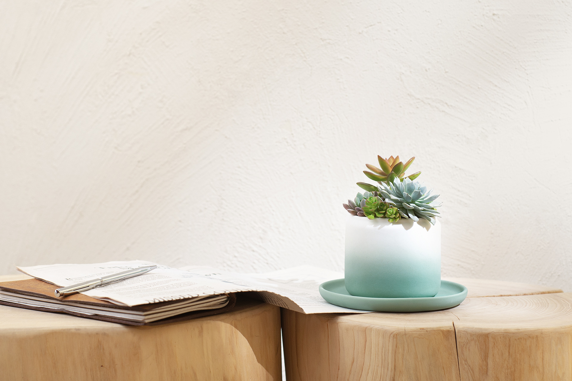 室內小盆栽推薦:低維護度植物讓你更輕鬆 6 室內小盆栽漸層色