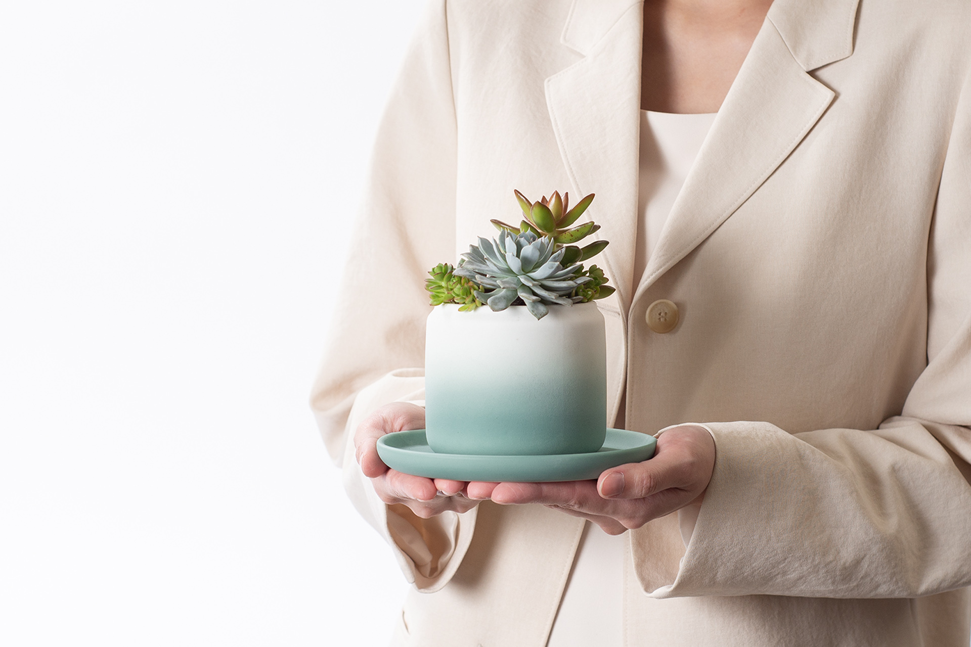 室內小盆栽推薦:低維護度植物讓你更輕鬆 5 室內小盆栽綠色白色