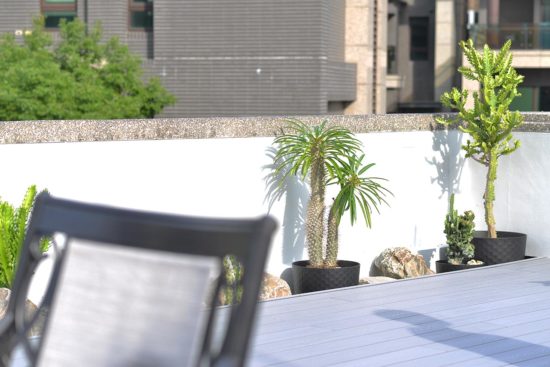 多肉植物造景設計