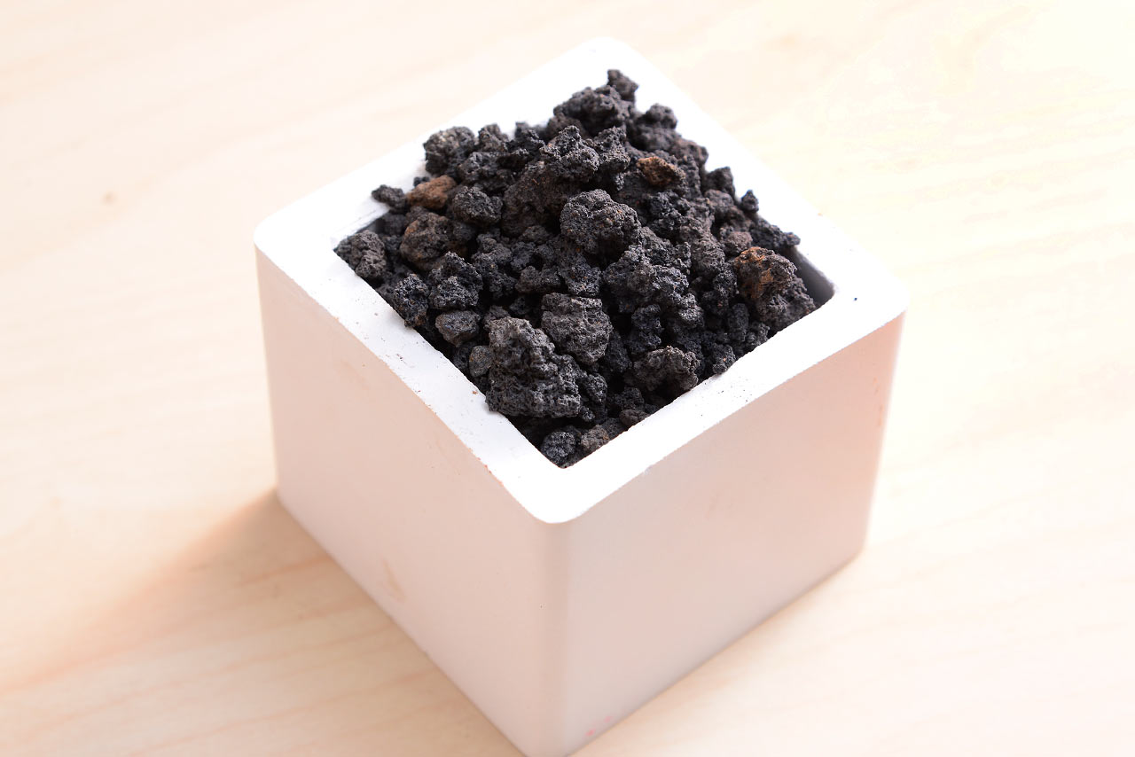 有肉多肉植物專用土-黑火山石2 有肉多肉植物專用土-黑火山石2