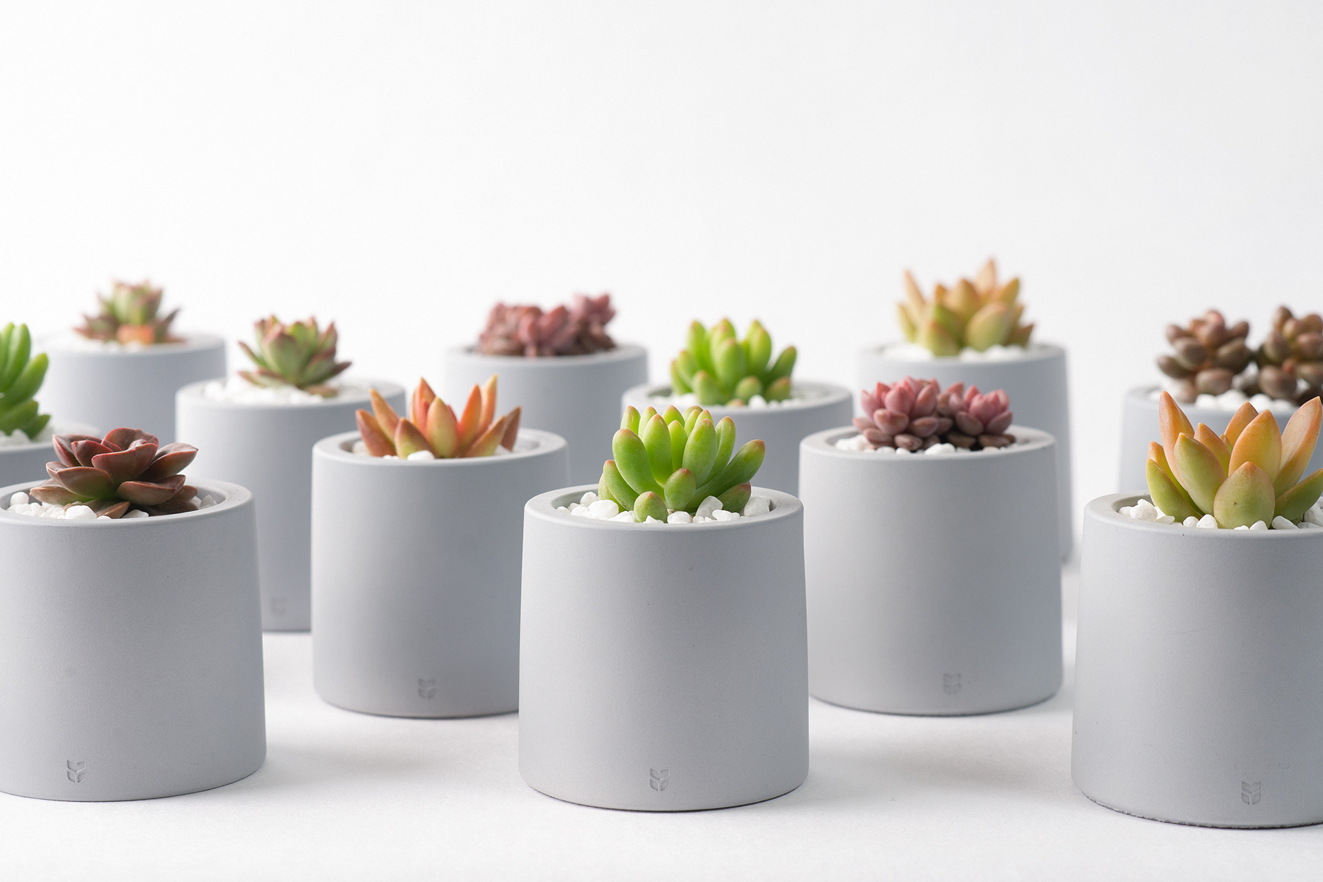 2023 世界地球日活動「愛護地球,從種植開始」 3 地球日抽獎活動