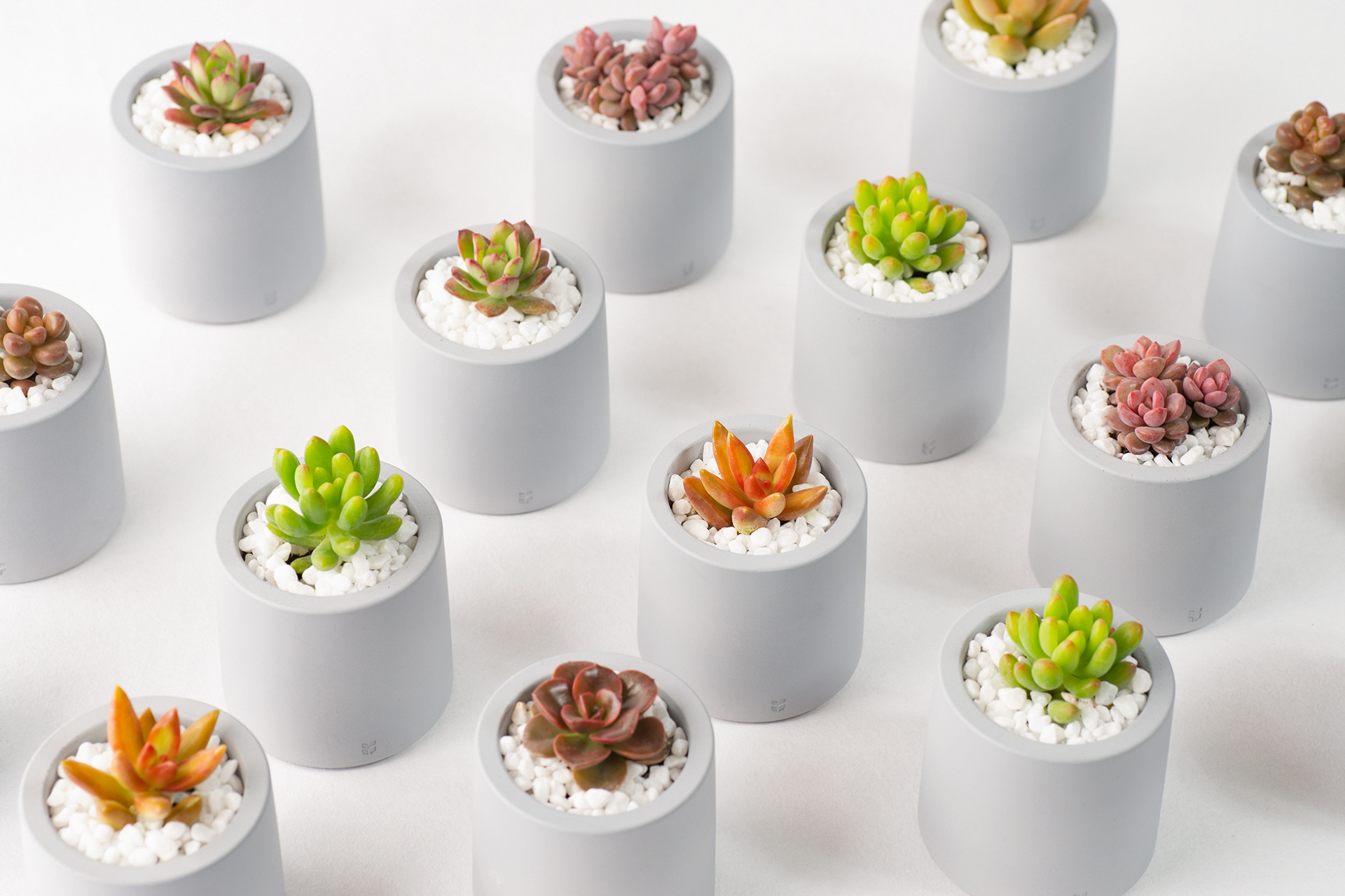 2023 世界地球日活動「愛護地球,從種植開始」 4 地球日活動推薦