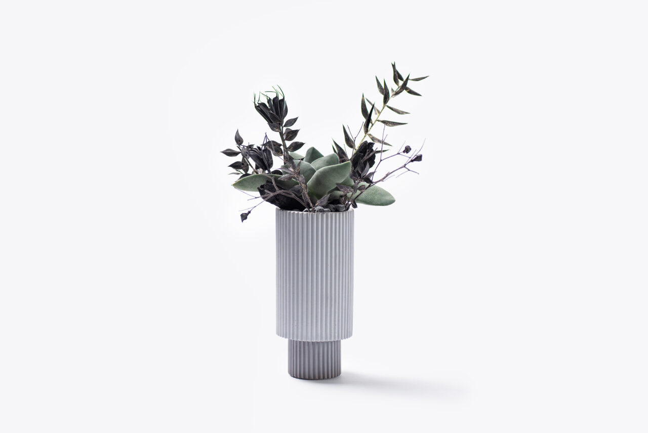 0220-每月多肉神刀介紹 青鎖龍屬