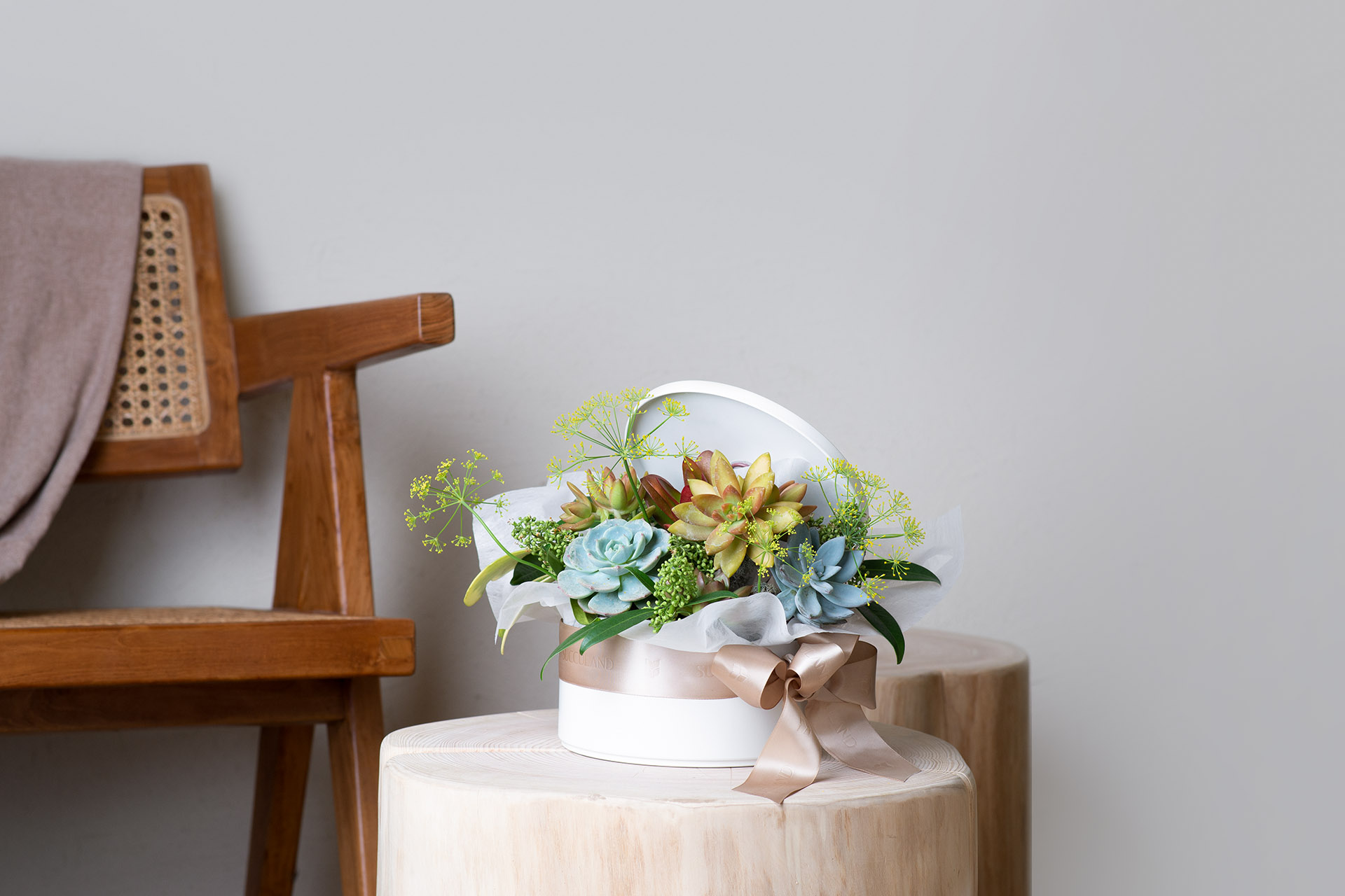 2023 母親節禮物,獻給跟你一樣喜歡植物的媽媽 14 滿花豐彩 0304 繽紛組盆網路花店商品拍攝091 拷貝