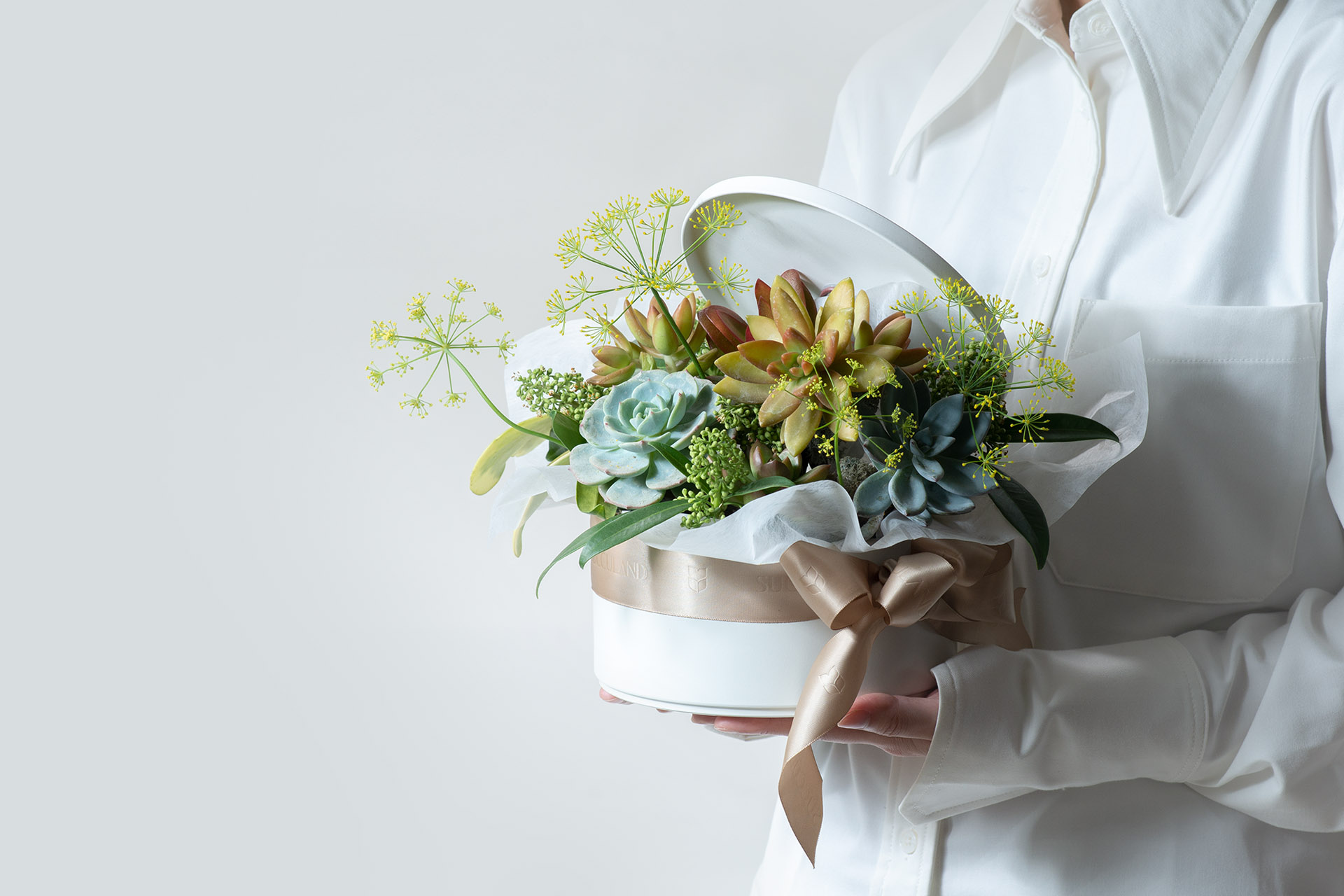 2023 母親節禮物,獻給跟你一樣喜歡植物的媽媽 13 滿花豐彩 0304 繽紛組盆網路花店商品拍攝239