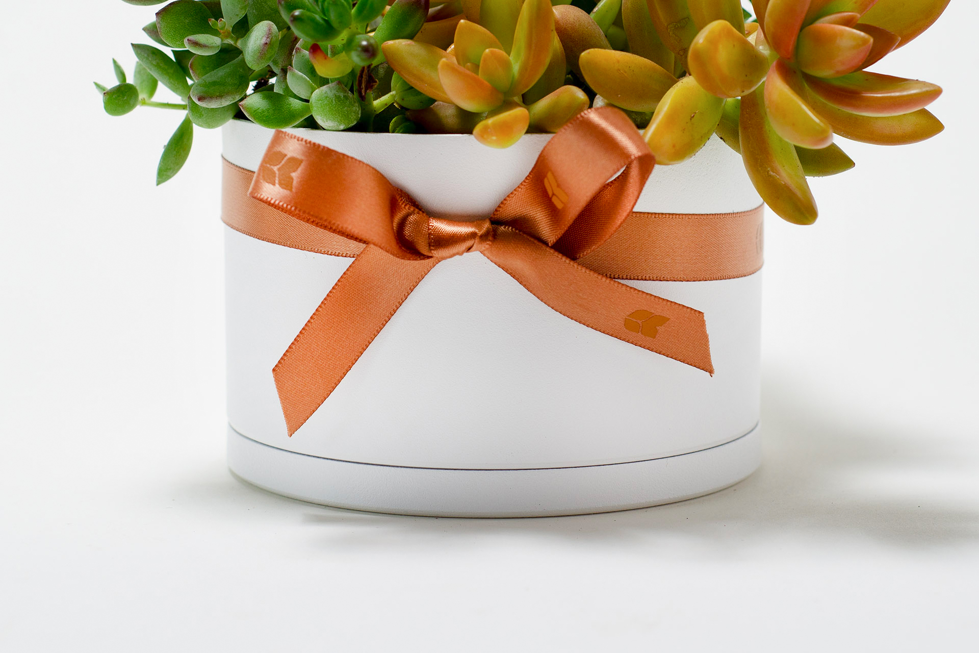 翩翩晶采 6 翩翩晶采 0311 網路商店開幕送禮拍攝130 拷貝