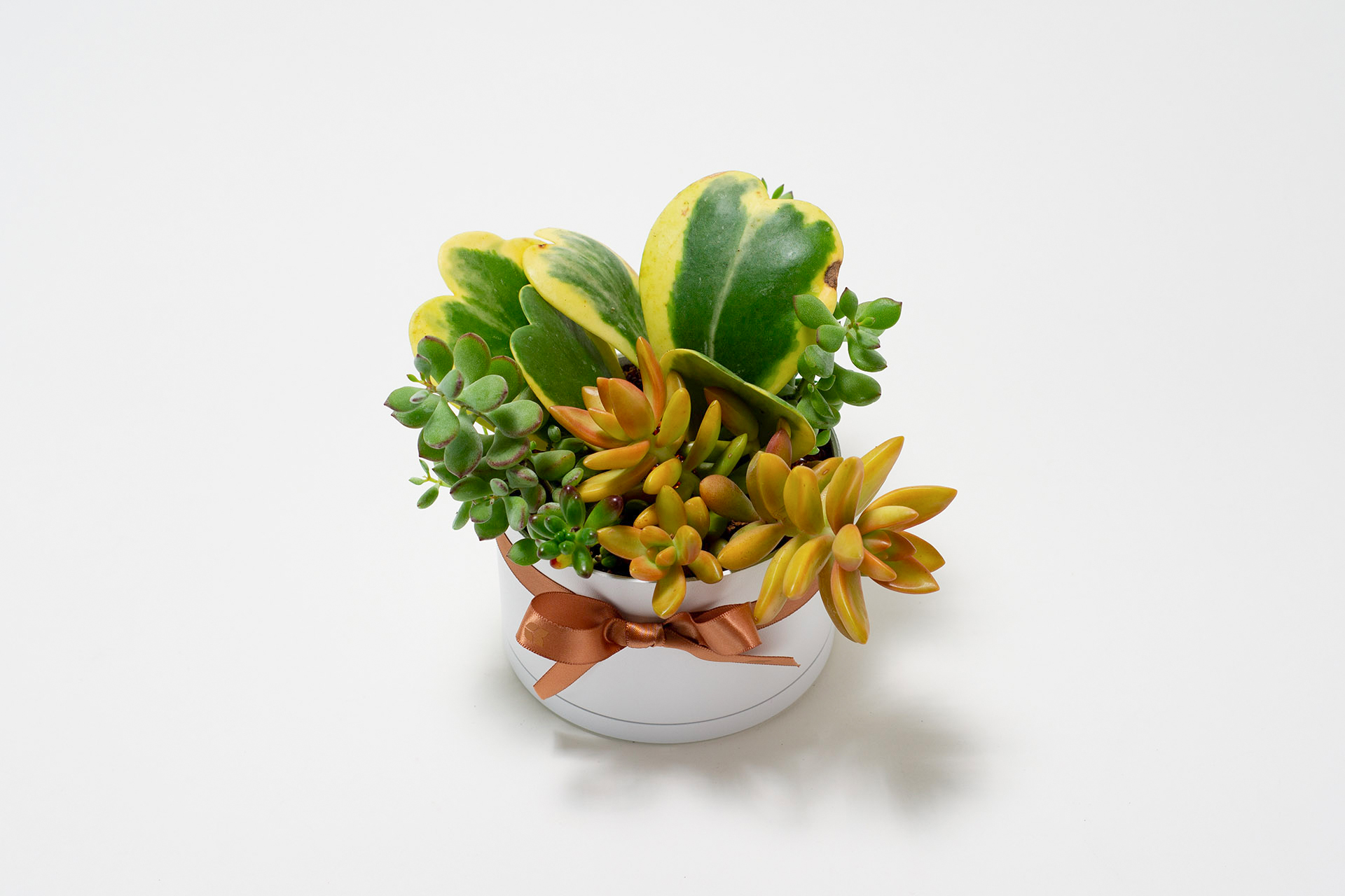 翩翩晶采 4 翩翩晶采 0311 網路商店開幕送禮拍攝132 拷貝