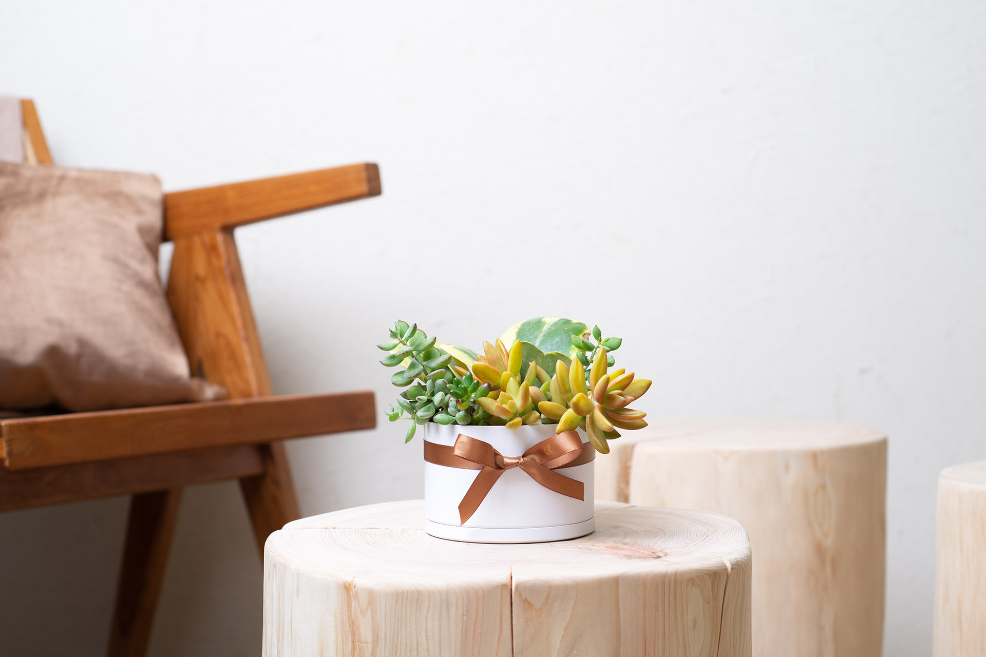 翩翩晶采 8 翩翩晶采 0311 網路商店開幕送禮拍攝192 拷貝