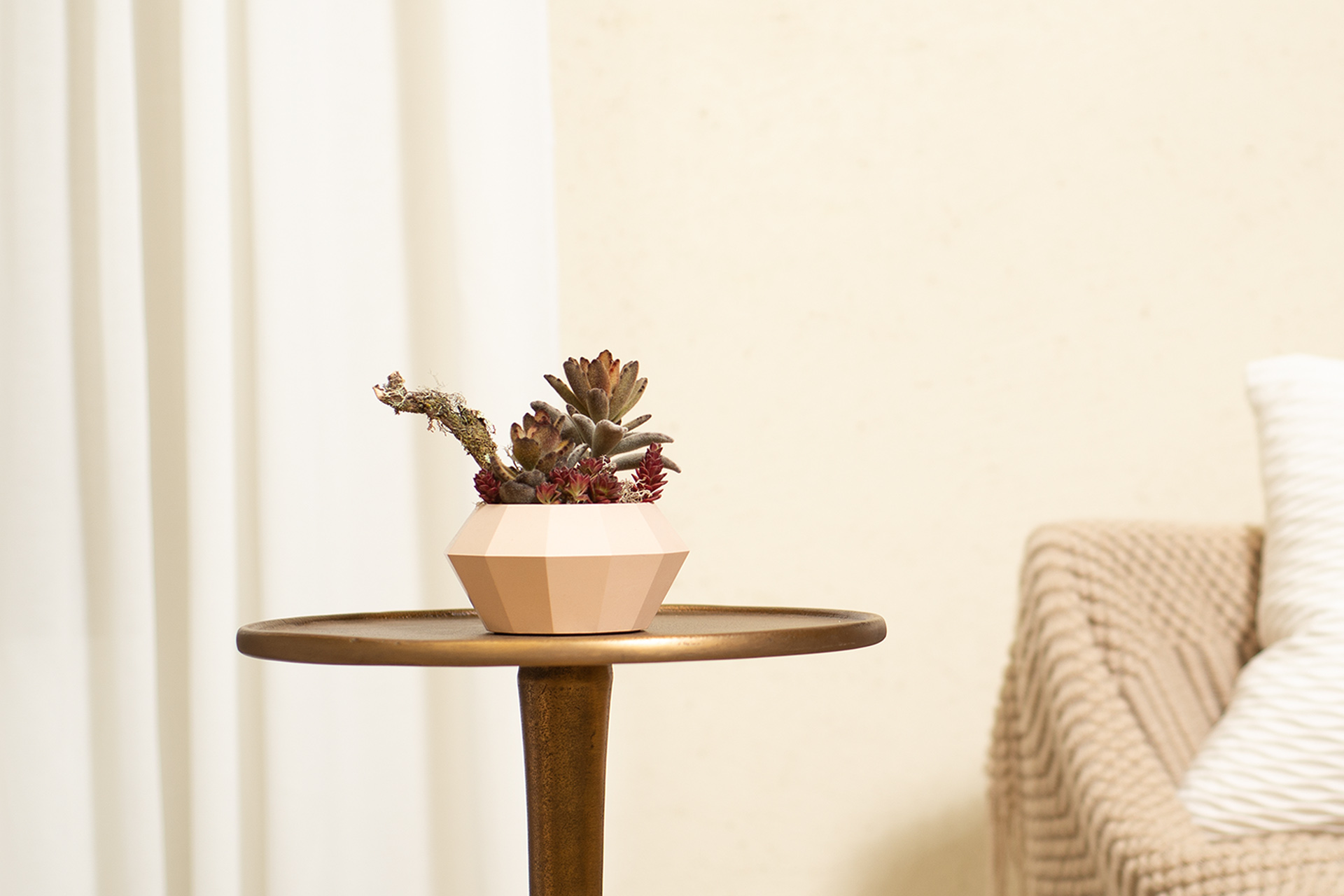 2023 母親節禮物,獻給跟你一樣喜歡植物的媽媽 2 奶茶色桌上盆栽