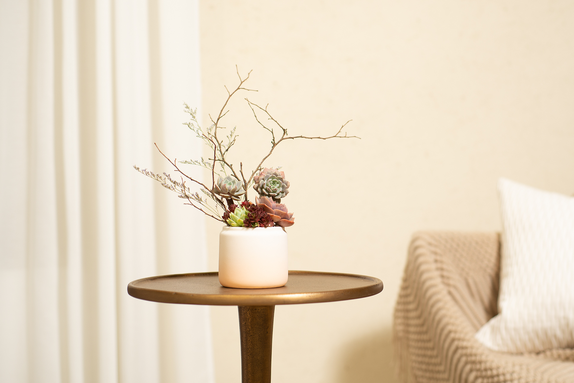 2023 母親節禮物,獻給跟你一樣喜歡植物的媽媽 4 桌上型裝飾禮物