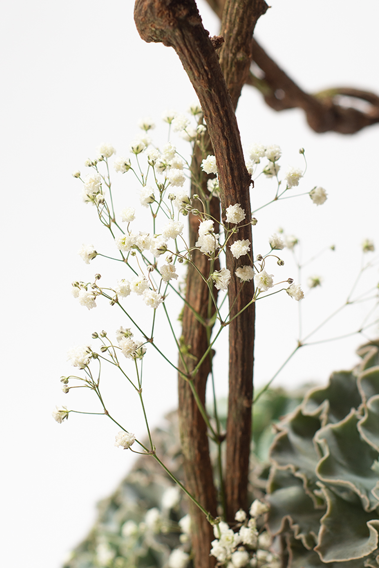 2023 母親節禮物,獻給跟你一樣喜歡植物的媽媽 12 精緻花禮