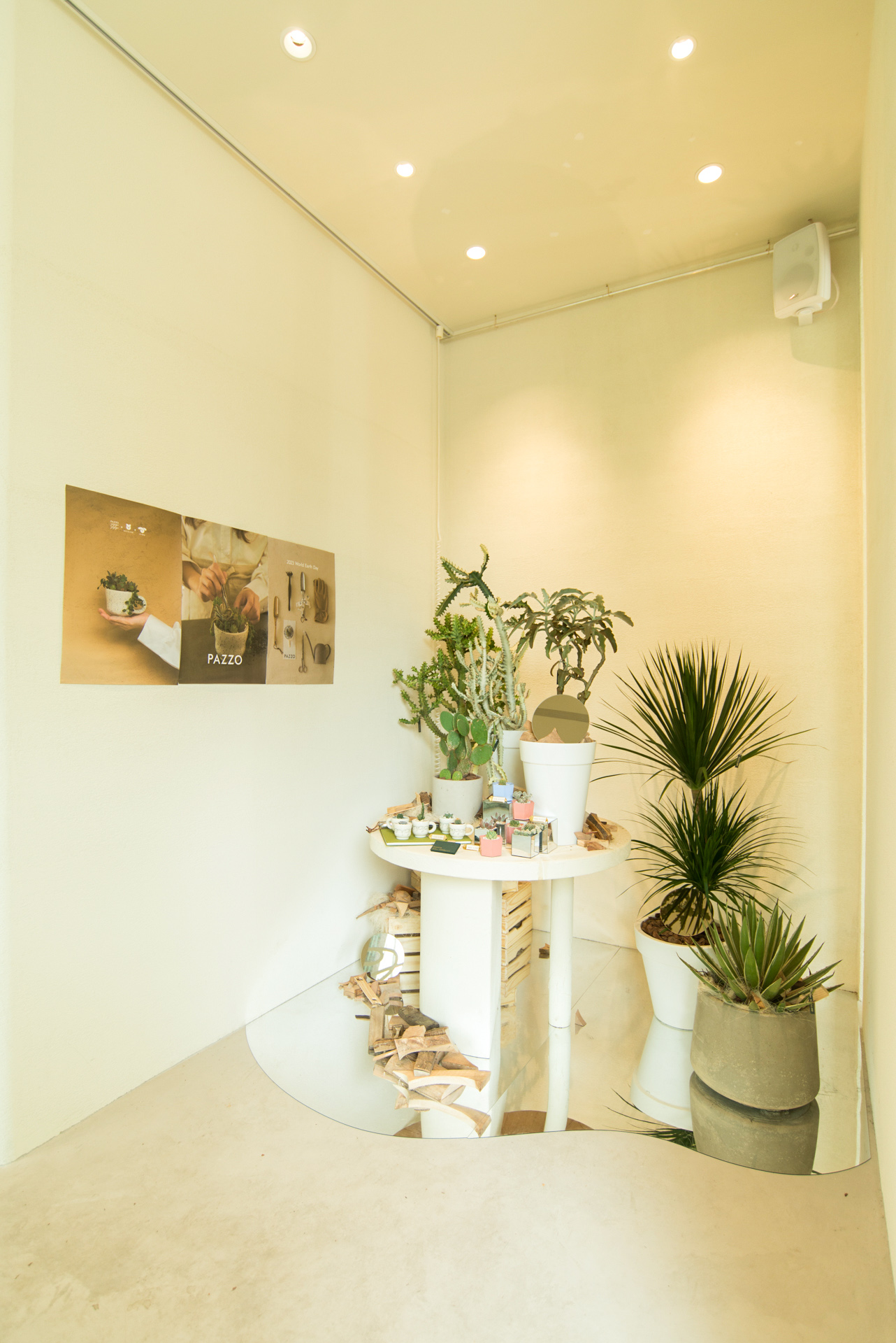 2023 世界地球日活動「愛護地球,從種植開始」 8 地球日陳列