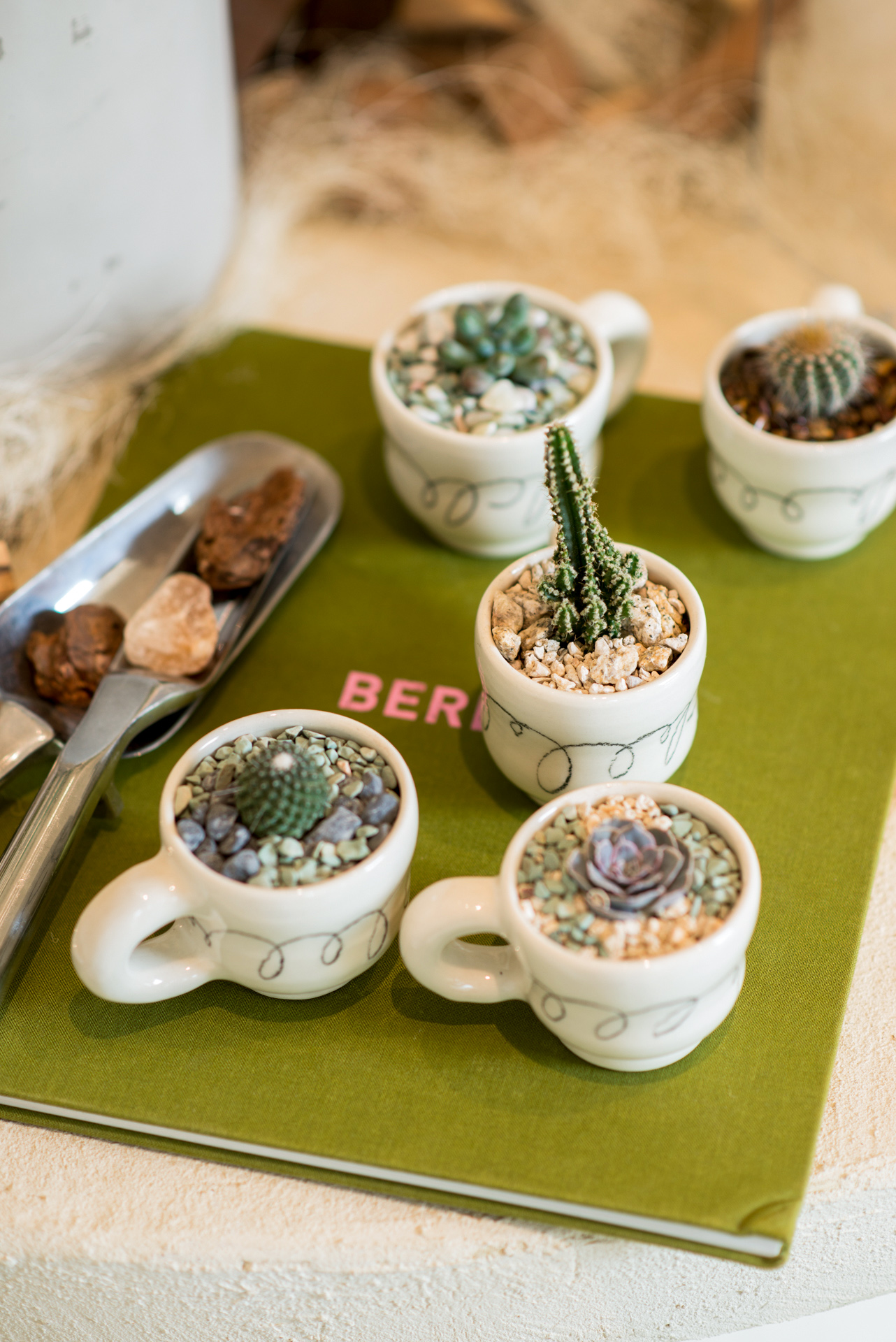 「走進大安四維街區」挖掘七家店,從設計出發感受生活! 15 「走進大安四維街區」挖掘七家店,從設計出發感受生活! 0411 PAZZO門市植物陳列拍攝 15