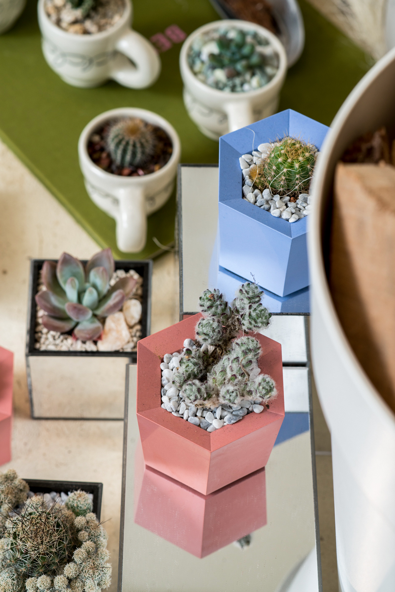 「走進大安四維街區」挖掘七家店,從設計出發感受生活! 16 「走進大安四維街區」挖掘七家店,從設計出發感受生活! 0411 PAZZO門市植物陳列拍攝 23