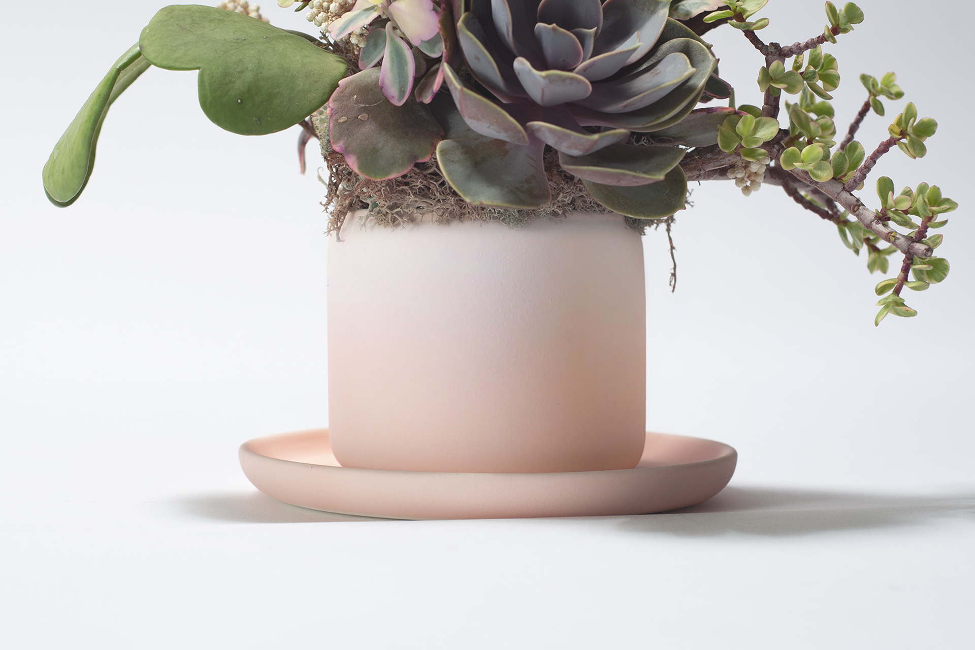 春色呈美 5 春色呈美 0422 夏季網路花店新禮品108 拷貝