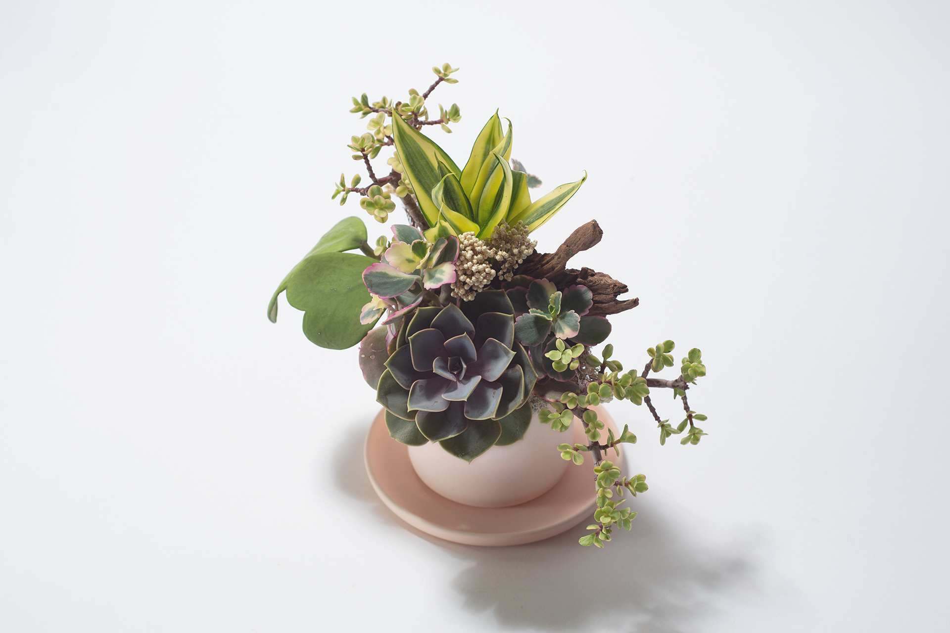 春色呈美 4 春色呈美 0422 夏季網路花店新禮品110 拷貝