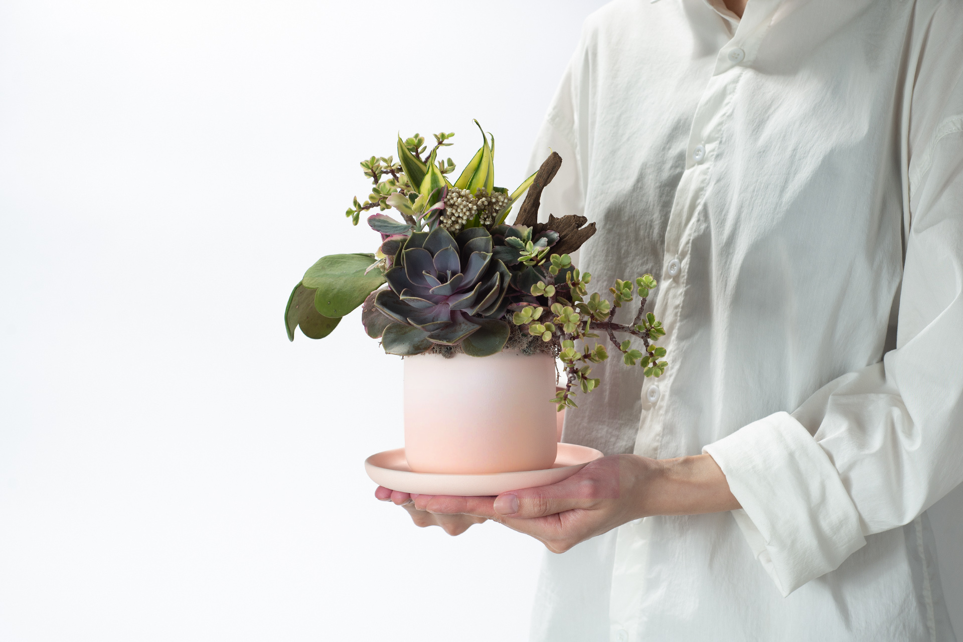 春色呈美 6 春色呈美 0422 夏季網路花店新禮品182 拷貝