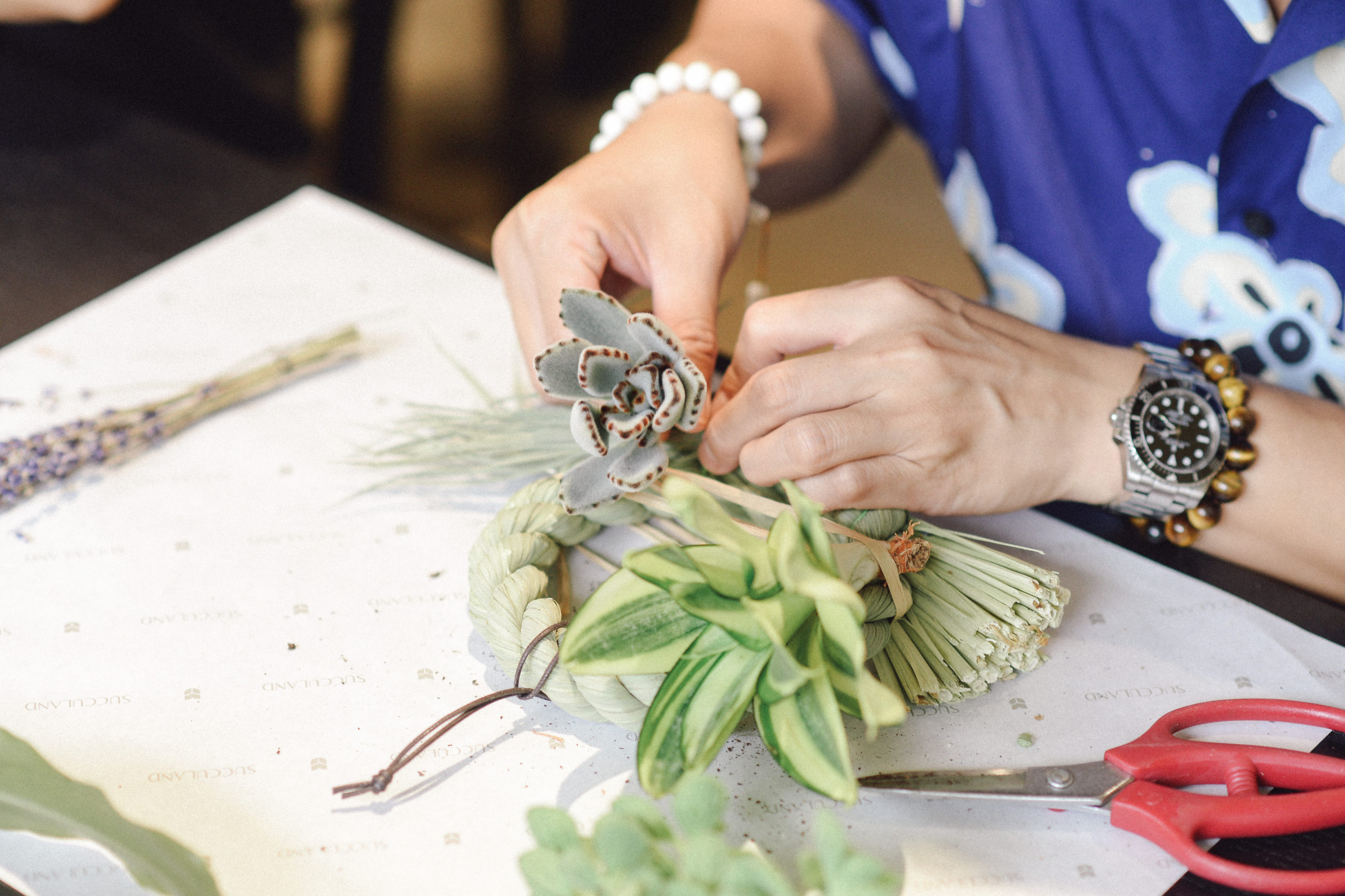 植樹節是什麼?用 2026 年的方法來過節! 2 VIP植栽活動