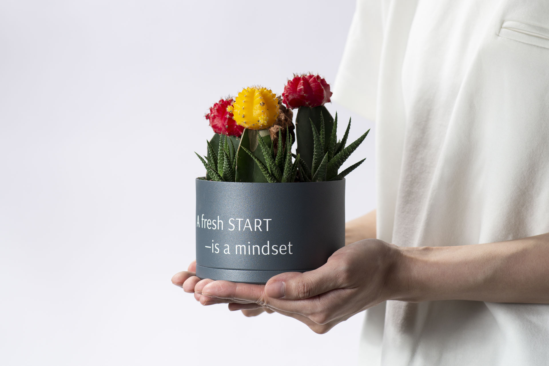 朋友生日禮物送什麼? 珍貴的心意 以植為禮 6 升官發財了!10 種升遷送禮新選擇