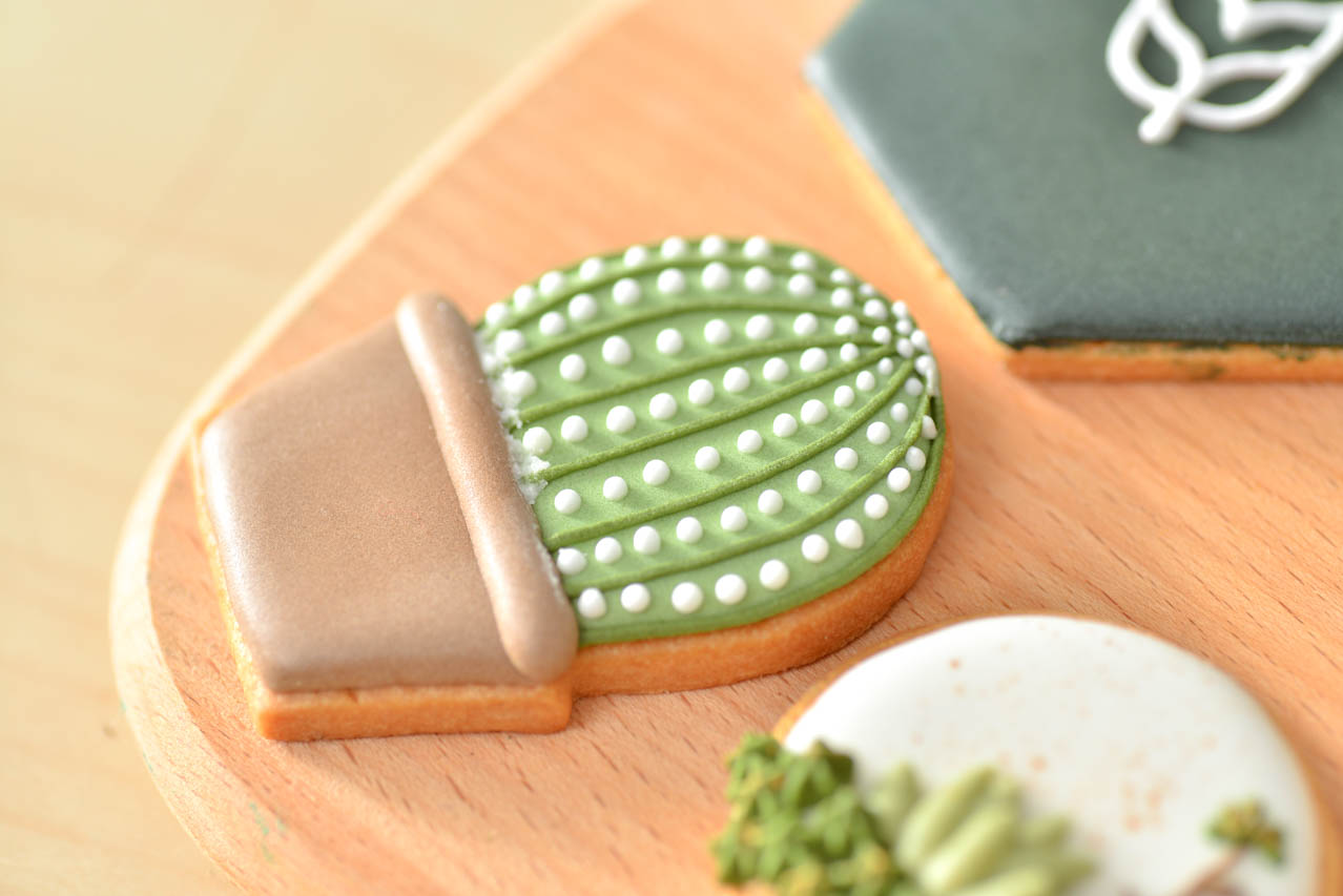 仙人掌盆栽造型餅乾