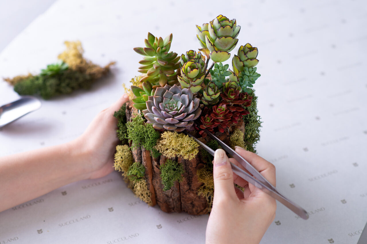 企業活動 0616 2022萬聖節課程手作114 拷貝