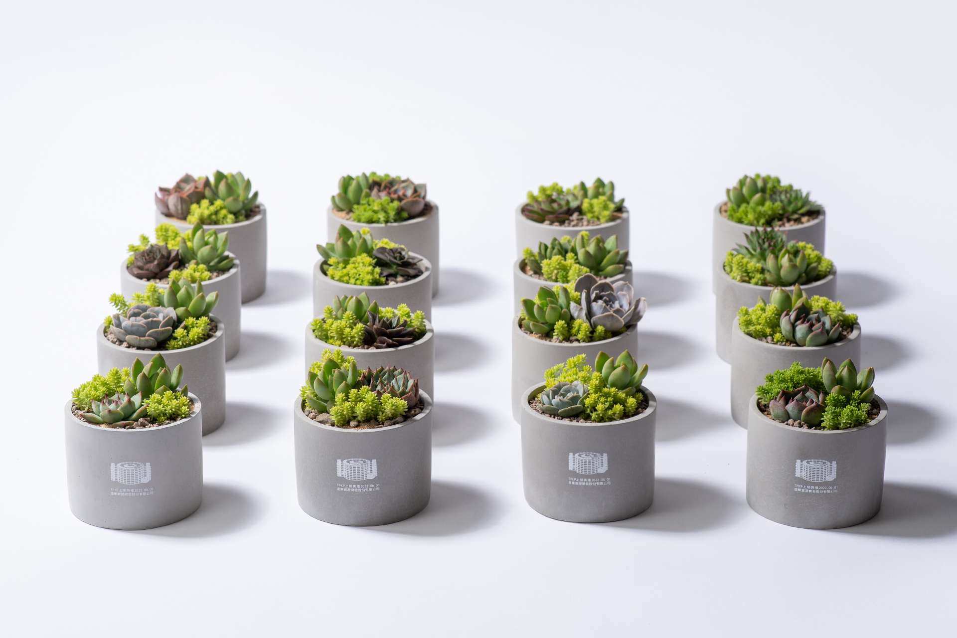 植樹節是什麼?用 2026 年的方法來過節! 6 上樑典禮儀式禮贈品