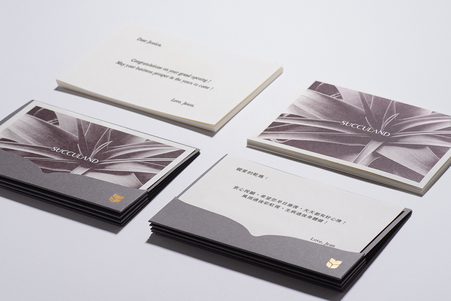 祝賀展覽順利 盆栽花籃怎麼挑選好? 9 展覽祝賀卡片平拍