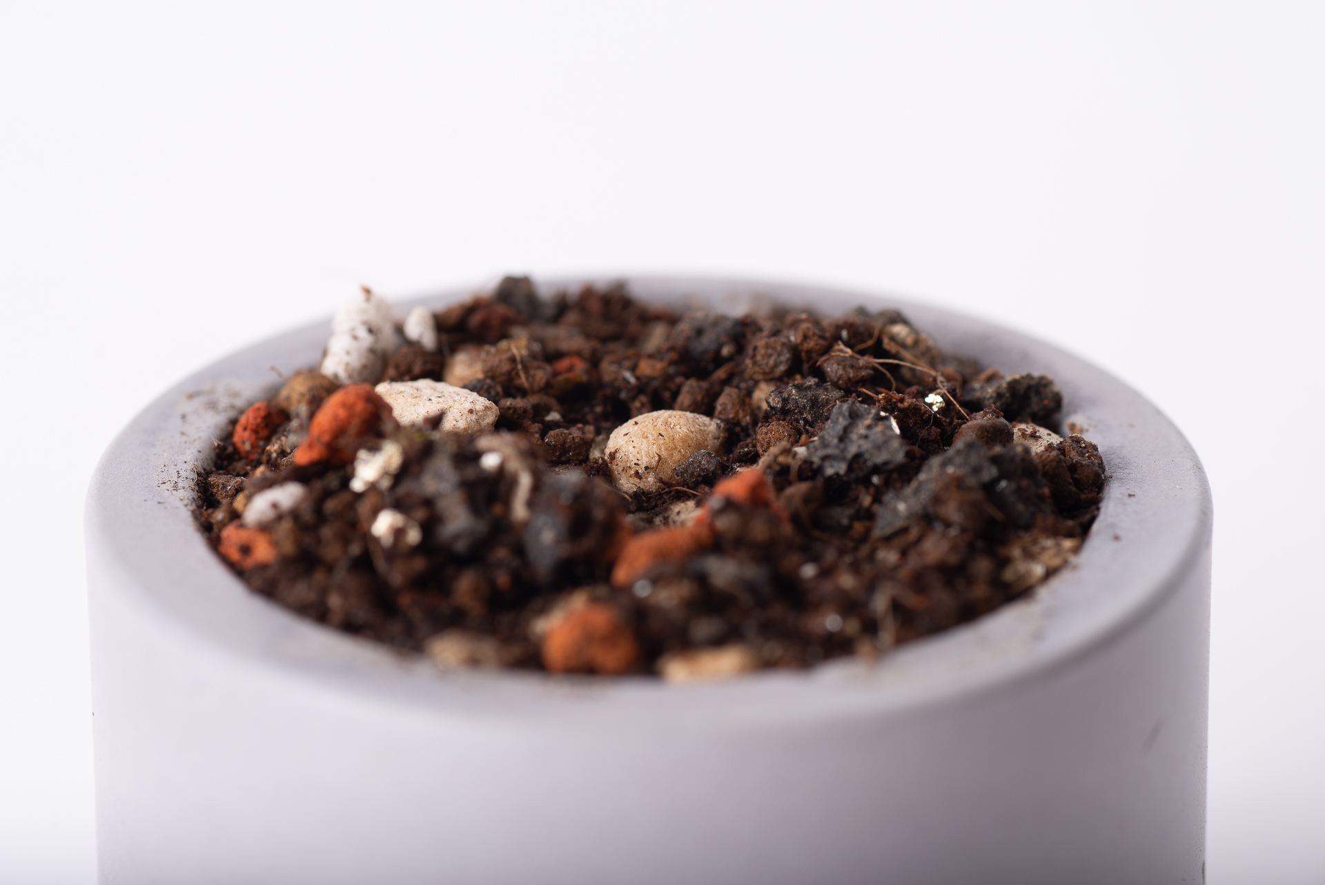 原生植物永續禮 七里香種子盆栽禮盒 8 種子盆栽永續禮品