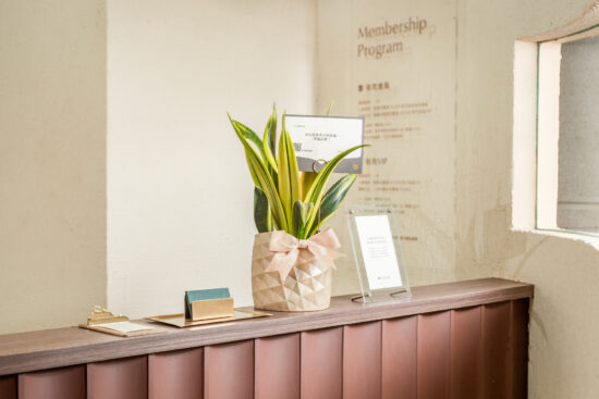 鳳梨盆栽的禮物感:台灣設計鳳梨盆 28 鳳梨祝賀盆栽網路花店