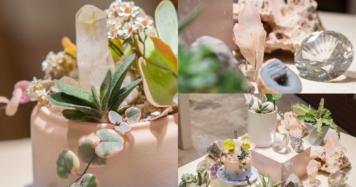 新聞媒體報導 0d61fa9a 64a6 450c 9649 c09b4dda0cae