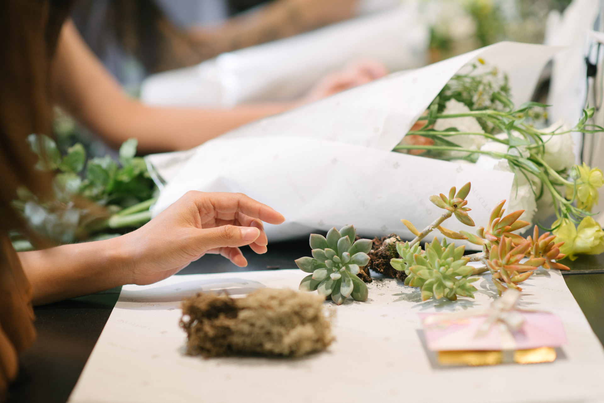 2026 台北體驗課程 一生受用的栽培課程 3 全新體驗