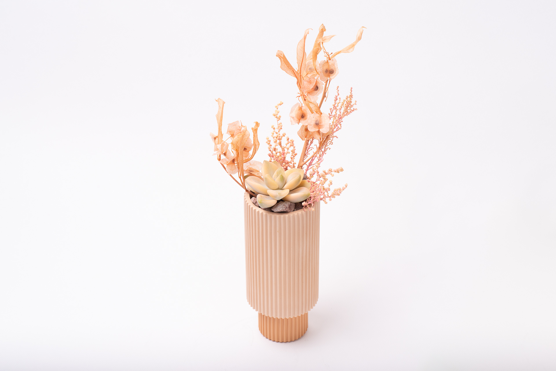 多肉圖鑑：淡雪錦 ×Graptoveria 'Victor Kane' Variegated 1021 每月一肉淡雪錦 032