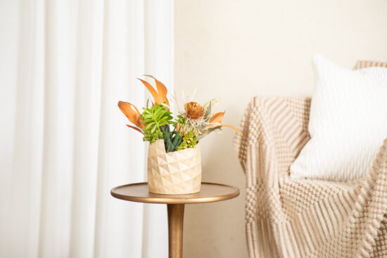 鳳梨盆栽的禮物感:台灣設計鳳梨盆 33 鳳梨組合盆栽