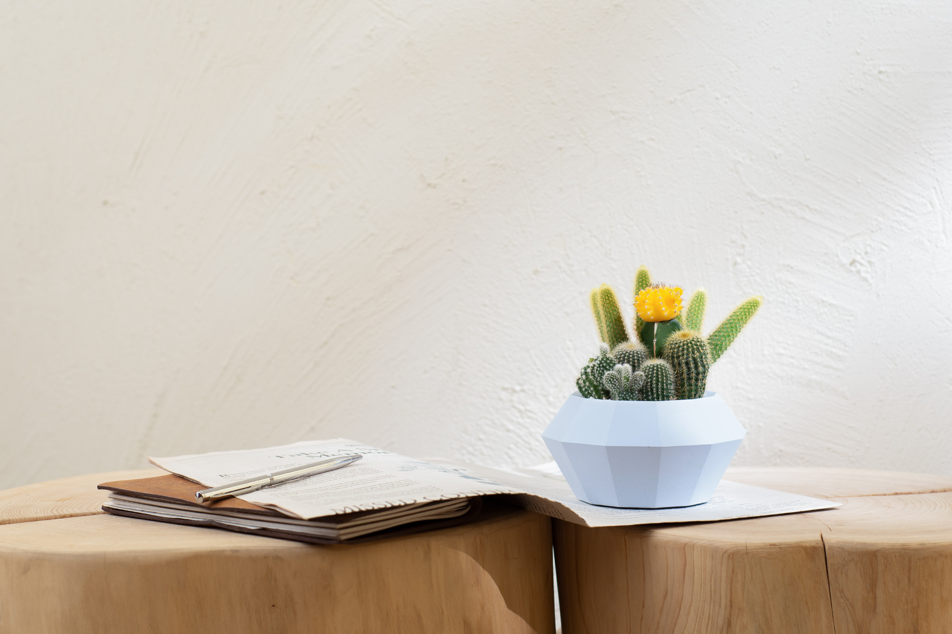 朋友生日禮物送什麼? 珍貴的心意 以植為禮 5 質感盆栽送禮