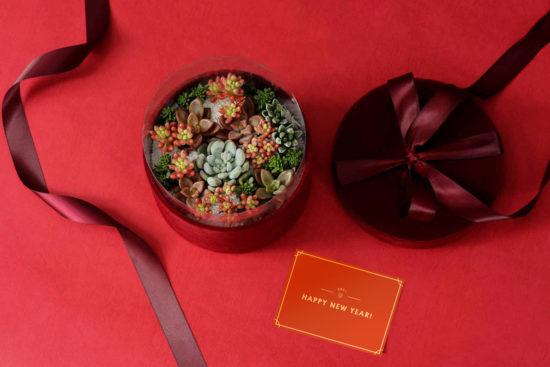 2024 七夕情人節送多肉花禮盒,療癒陪伴一整年 5 2024 七夕情人節送多肉花禮盒,療癒陪伴一整年 1113 春節花禮盒 138