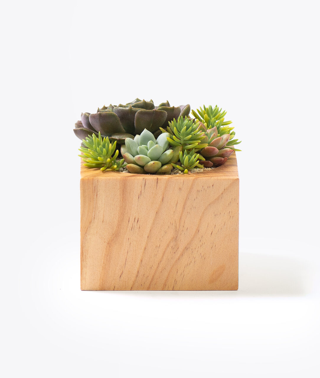 客製化禮贈品選擇一木質松木盆