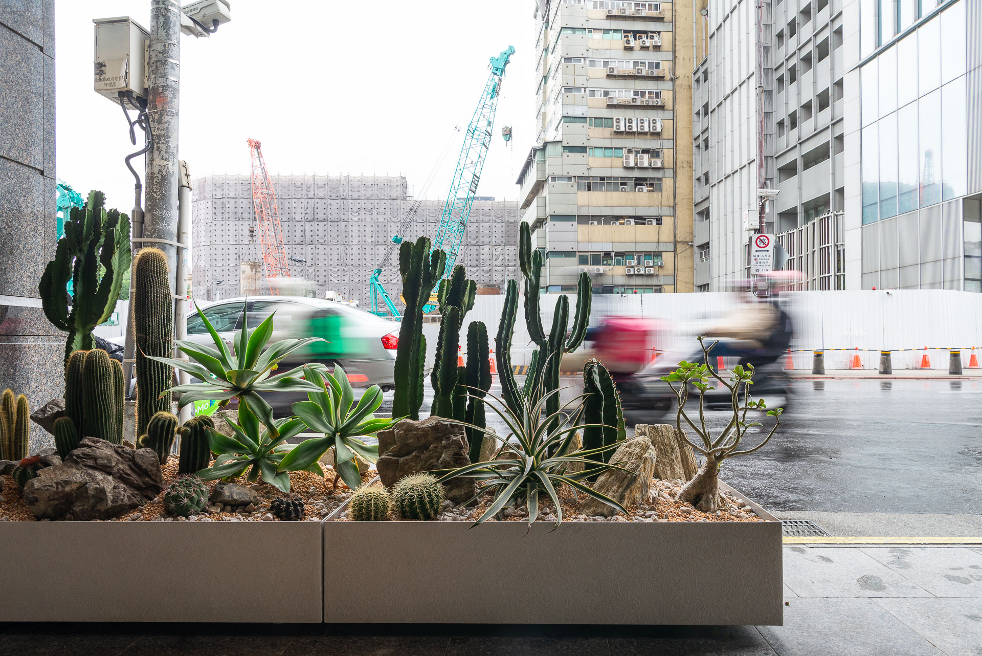 門口造景推薦!品牌新門市怎麼種植物才療癒又自然 22 門口造景推薦!品牌新門市怎麼種植物才療癒又自然 1213 西門町Oani 飯店造景案例30