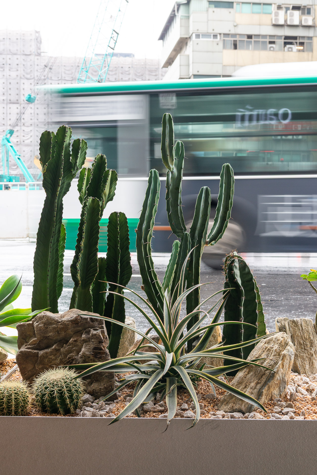 門口造景推薦!品牌新門市怎麼種植物才療癒又自然 24 門口造景推薦!品牌新門市怎麼種植物才療癒又自然 1213 西門町Oani 飯店造景案例31