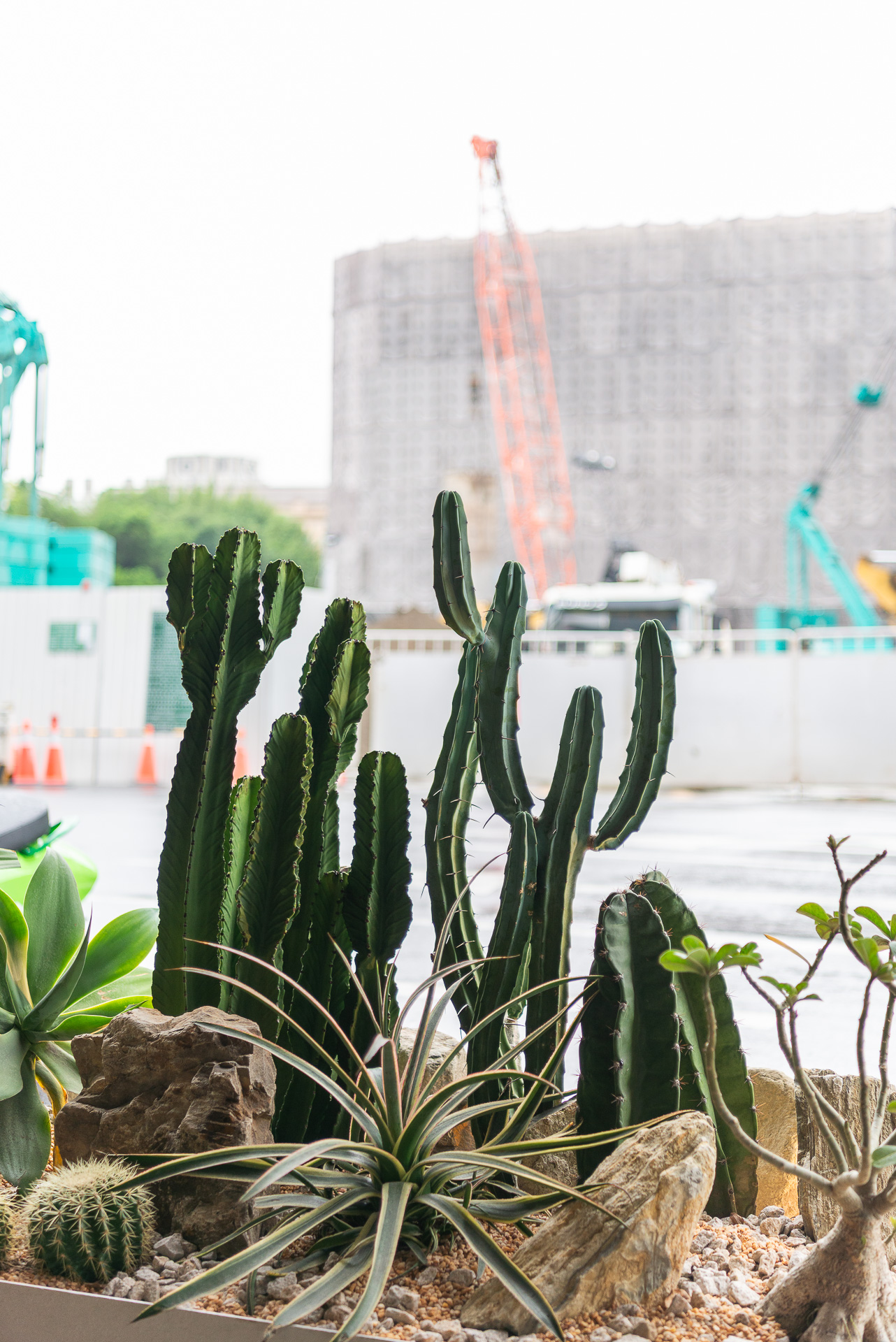 門口造景推薦!品牌新門市怎麼種植物才療癒又自然 25 門口造景推薦!品牌新門市怎麼種植物才療癒又自然 1213 西門町Oani 飯店造景案例33