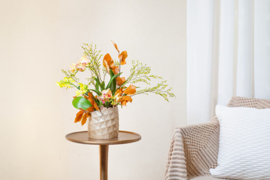 鳳梨盆栽的禮物感:台灣設計鳳梨盆 35 2024 鳳梨盆栽