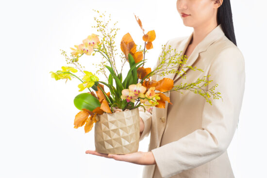 黃色蘭花鳳梨盆栽