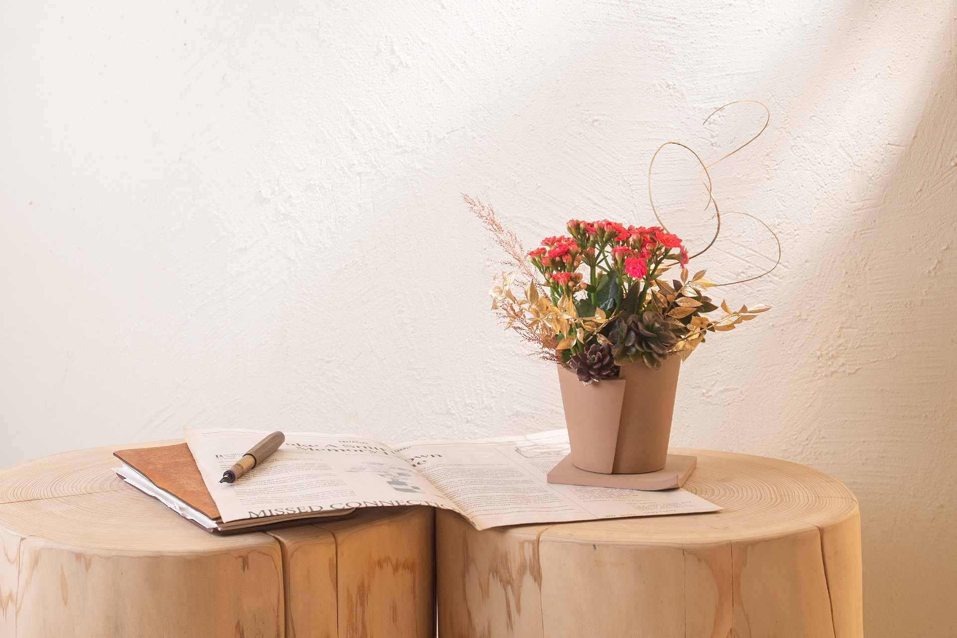 長壽花與蘭花,春節開花盆栽怎麼選? 1 長壽花與蘭花,春節開花盆栽怎麼選? 1219 2023 開花盆栽送禮033 拷貝 1