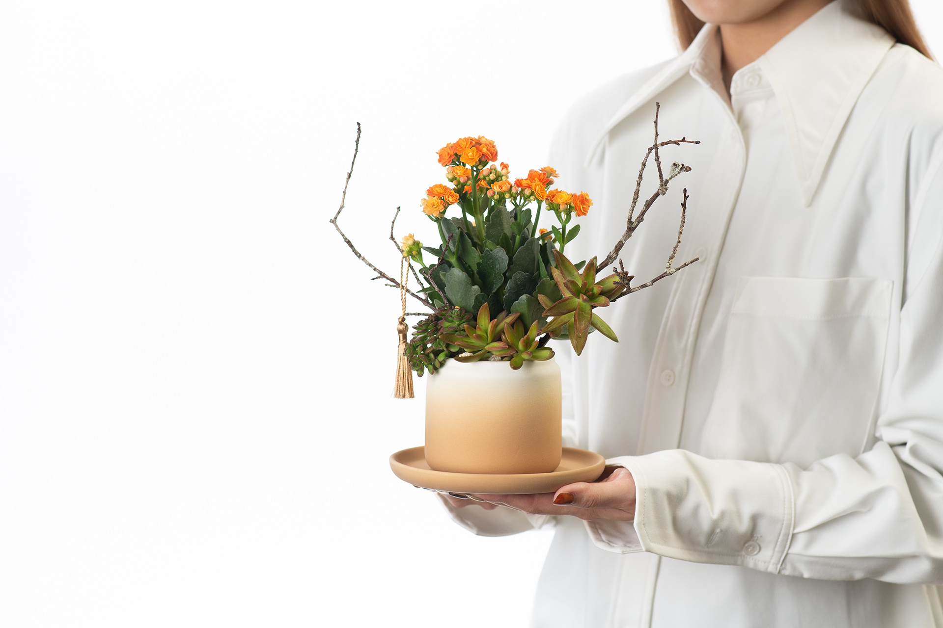 長壽花與蘭花,春節開花盆栽怎麼選? 8 長壽花與蘭花,春節開花盆栽怎麼選? 1219 2023 開花盆栽送禮119