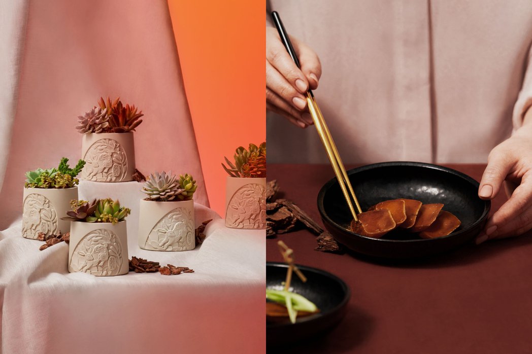 新聞媒體報導 166625250392970 P19026378