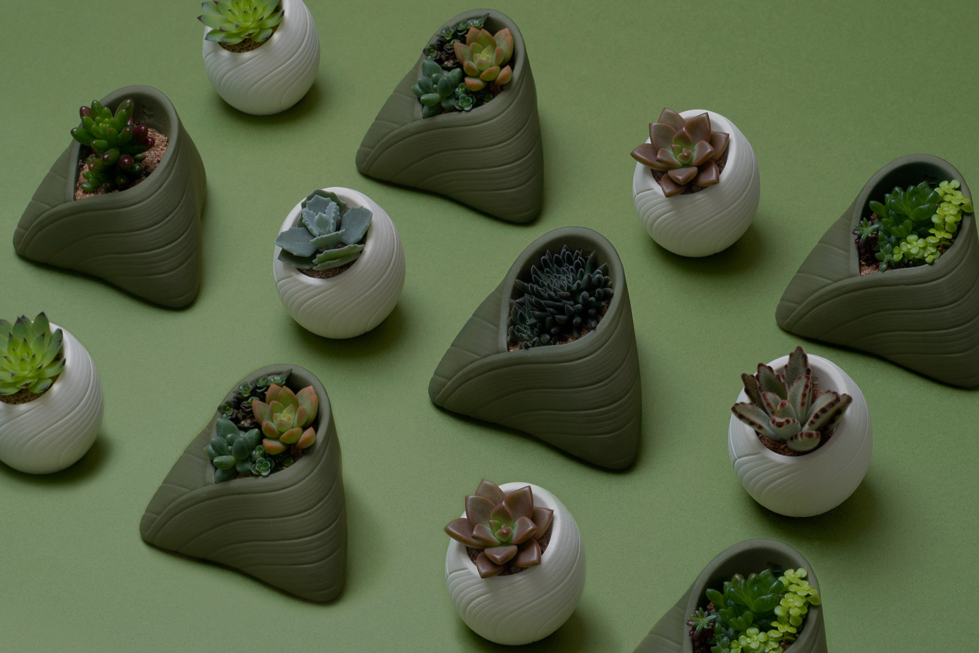 企業禮物超有梗 貼近自然還可客製化 2002端午雙層植品禮盒＿多肉植物與蜂蜜蛋糕＿有肉SUCCULAND＿南蠻堂加壽蛋糕13