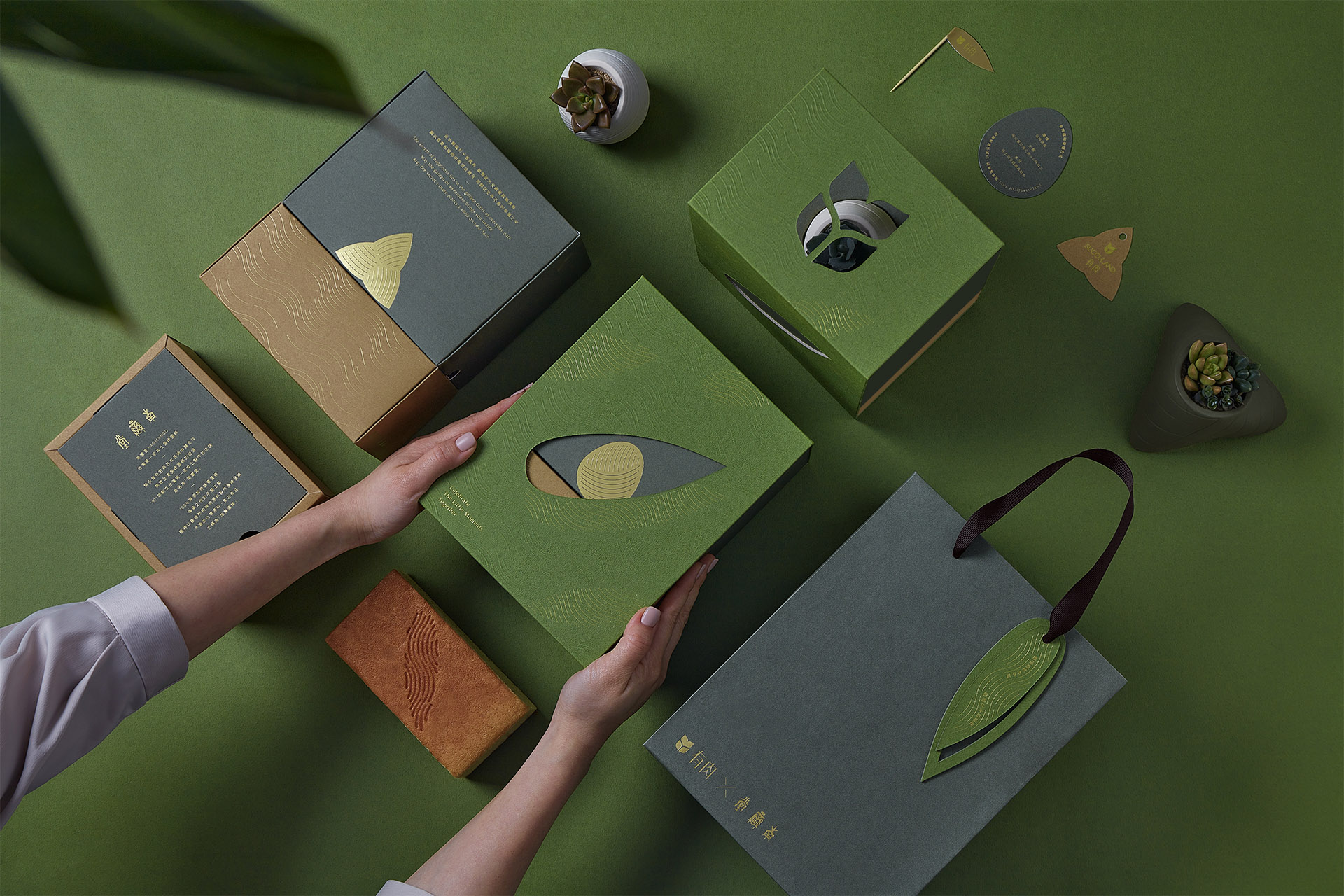 企業禮物超有梗 貼近自然還可客製化 2002端午雙層植品禮盒＿多肉植物與蜂蜜蛋糕＿有肉SUCCULAND＿南蠻堂加壽蛋糕8